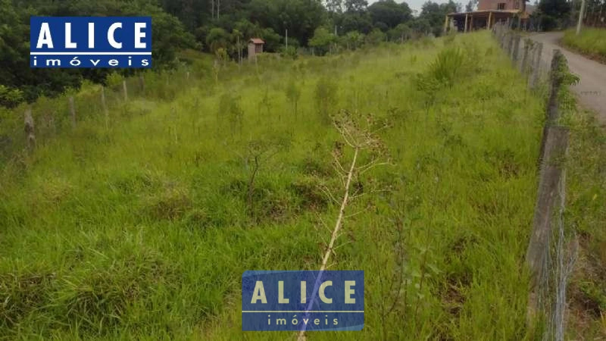 Imagem de Terreno em Mario Neves bairro Freguesia Do Mundo Novo