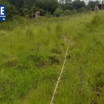 Imagem de Terreno em Mario Neves bairro Freguesia Do Mundo Novo