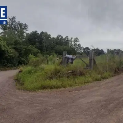 Imagem de Terreno em Mario Neves bairro Freguesia Do Mundo Novo