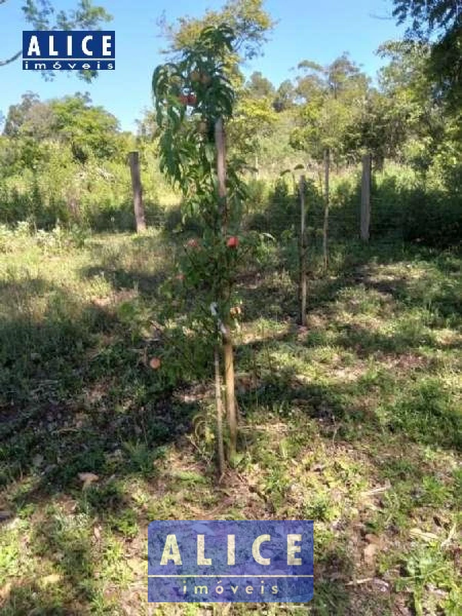 Imagem de Sítio em Estrada Principal bairro Santa Cruz Da Concórdia