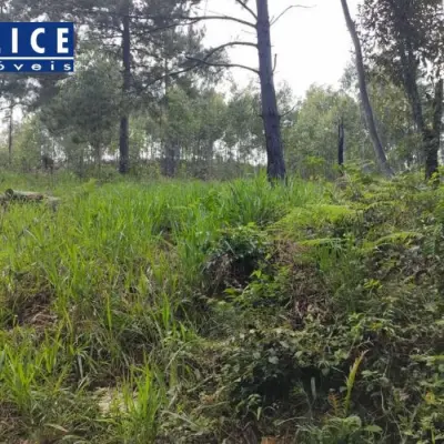 Imagem de Terreno em Rua Do Arroio bairro Santa Cruz Da Concórdia
