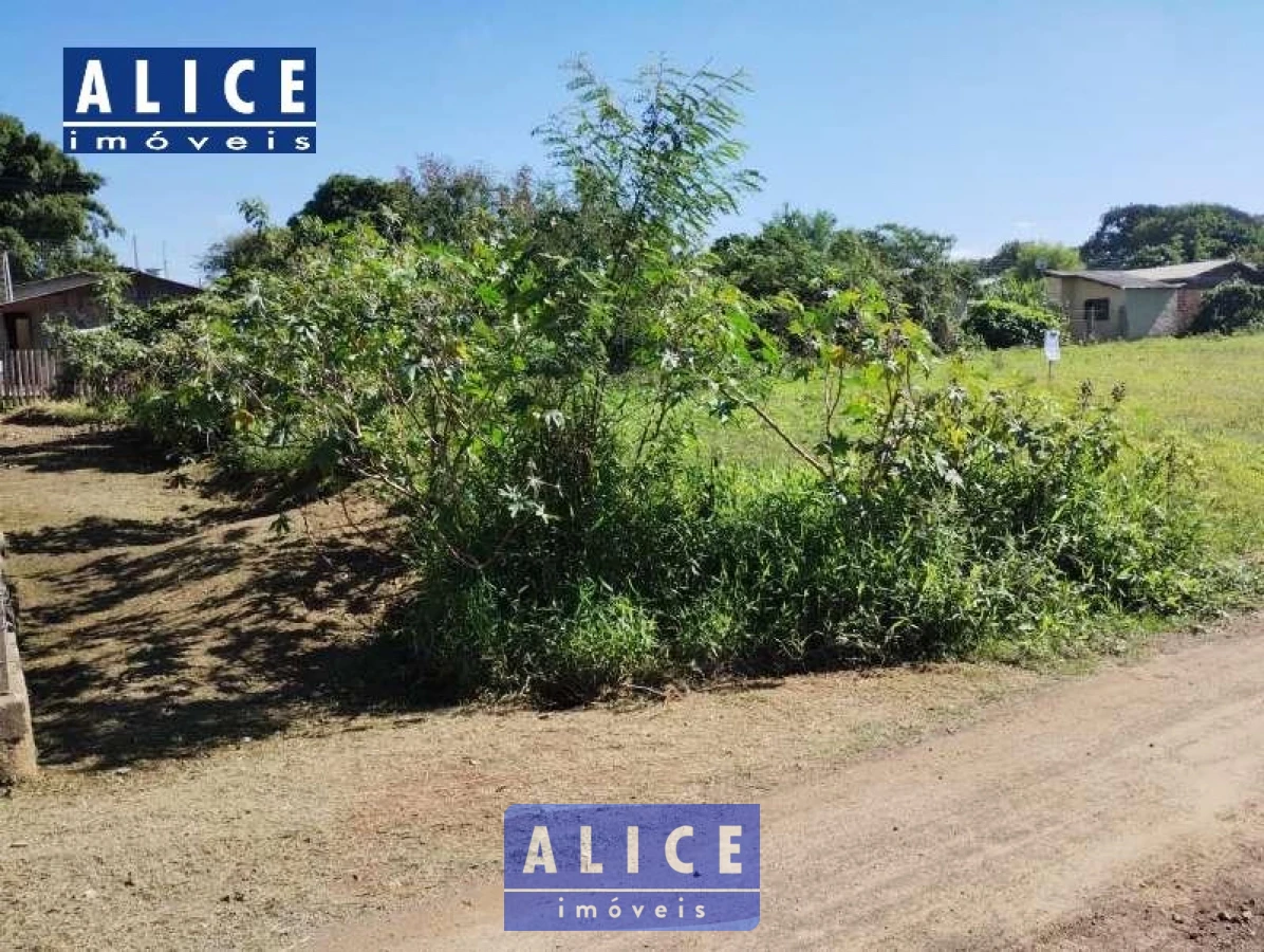 Imagem de Terreno em Astrogildo Antonio Da Silva bairro Medianeira