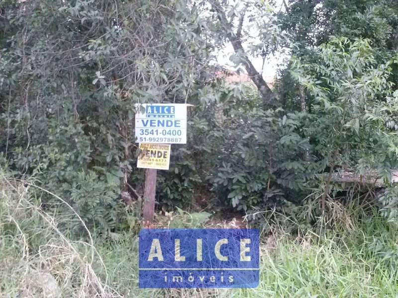 Imagem de Terreno em Eloy Teresinha Carniel Schein bairro Tucanos