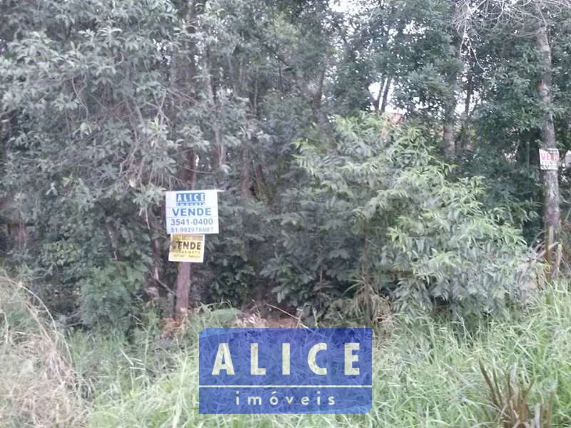 Imagem de Terreno em Eloy Teresinha Carniel Schein bairro Tucanos