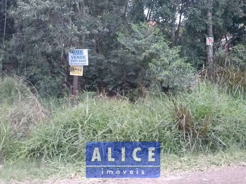 Imagem de Terreno em Eloy Teresinha Carniel Schein bairro Tucanos