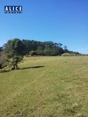 Imagem de Sítio em Santa Cruz Da Concordia bairro Santa Cruz Da Concórdia