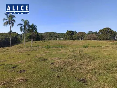 Imagem de Sítio em Ers 020 bairro Centro