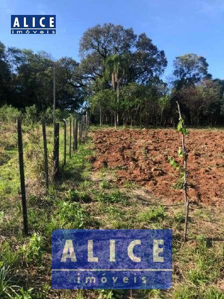 Imagem de Sítio em Fazenda Fialho bairro Fazenda Fialho