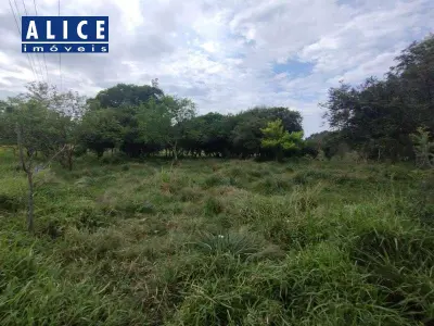 Imagem de Terreno em Avenida Albino Ebling -