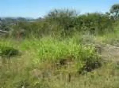Imagem de Terreno em Arno Faiock bairro Mundo Novo
