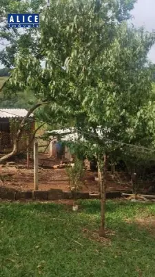 Imagem de Sítio em Linha Caloni bairro Lageadinho