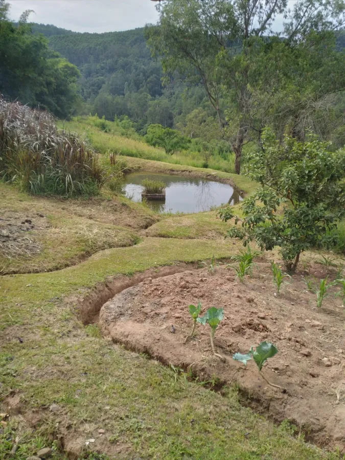 Imagem de Sitio em Santa Cruz da Concórdia