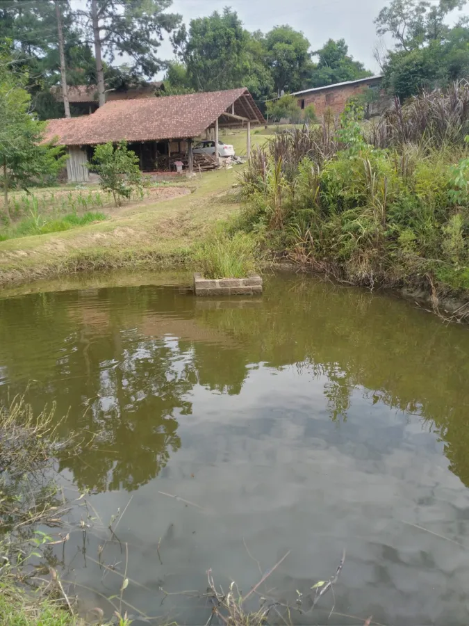 Imagem de Sitio em Santa Cruz da Concórdia