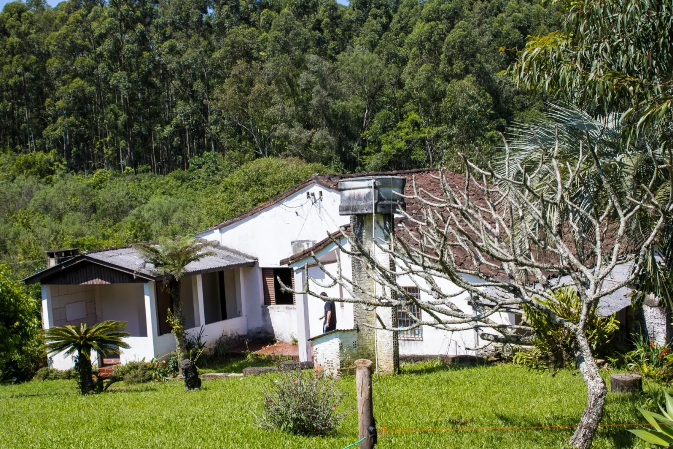 Imagem de Sítio em Taquara