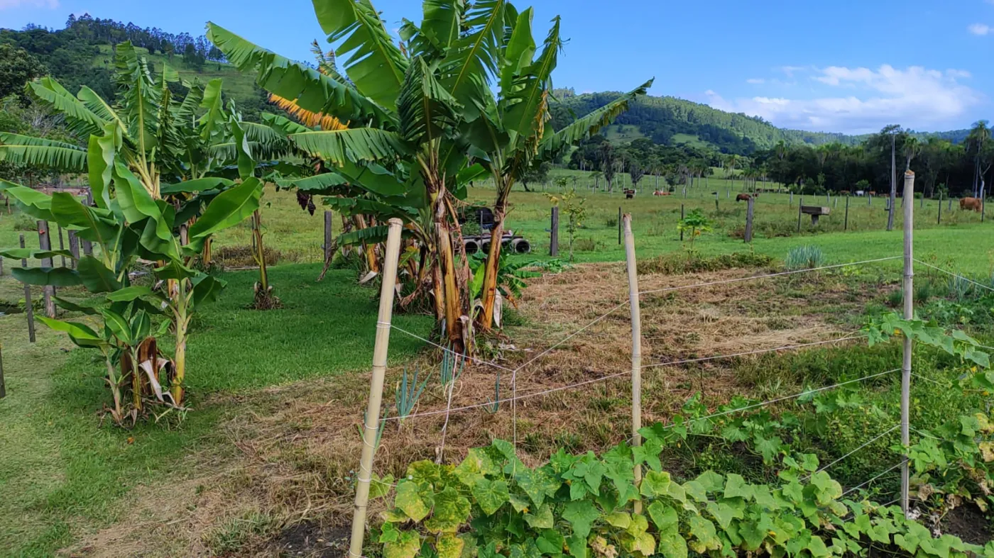 Imagem de Sítio em Rolante