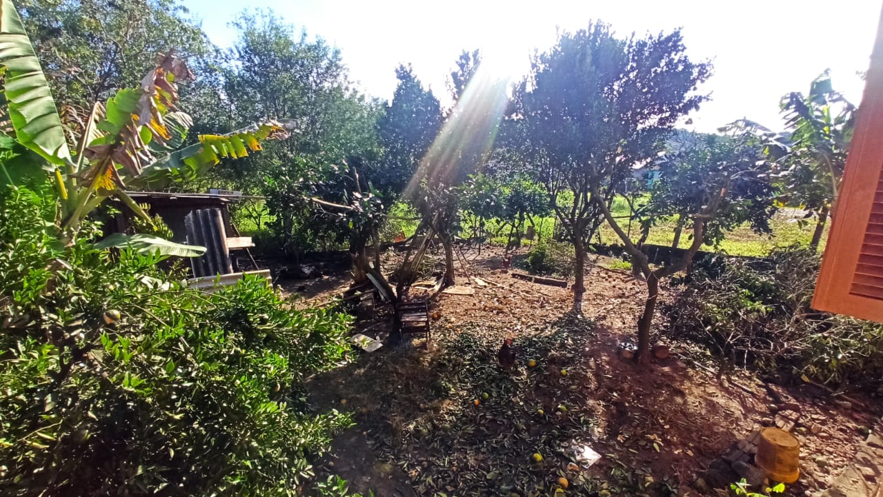 Imagem de Casas em amplo terreno em Taquara