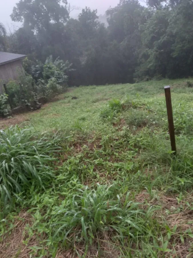 Imagem de Terreno em Rua Vila Verde bairro Km 4