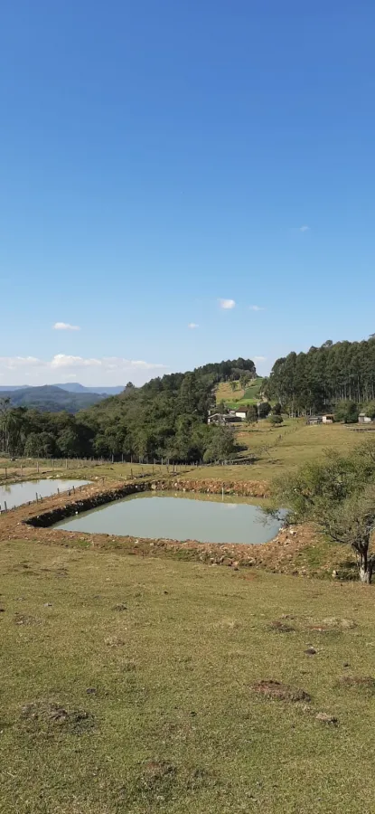 Imagem de Sítio em Batingueira Taquara