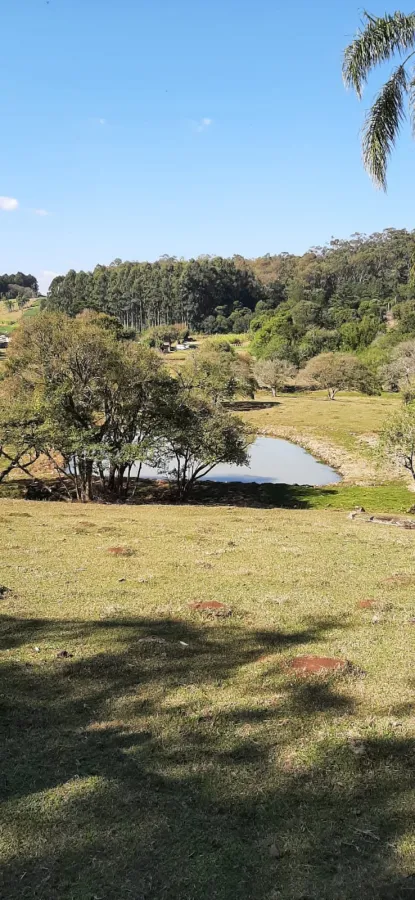 Imagem de Sítio em Batingueira Taquara