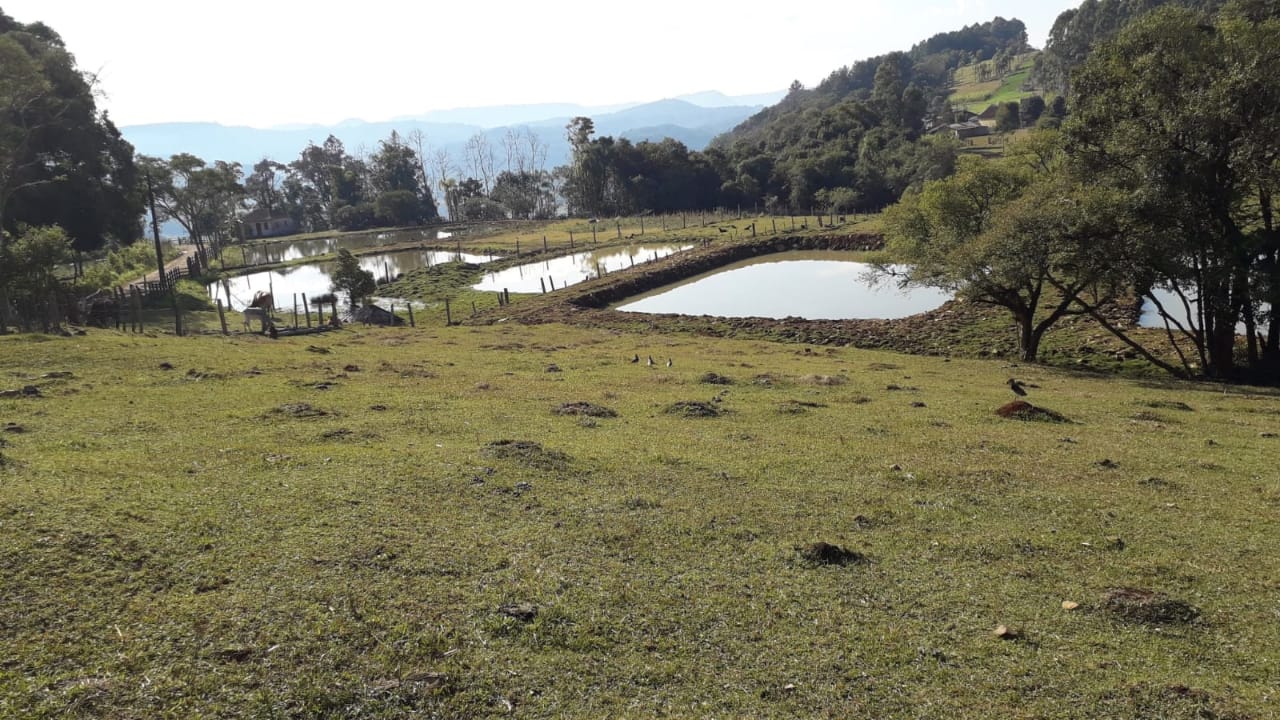 Imagem de Sítio em Batingueira Taquara