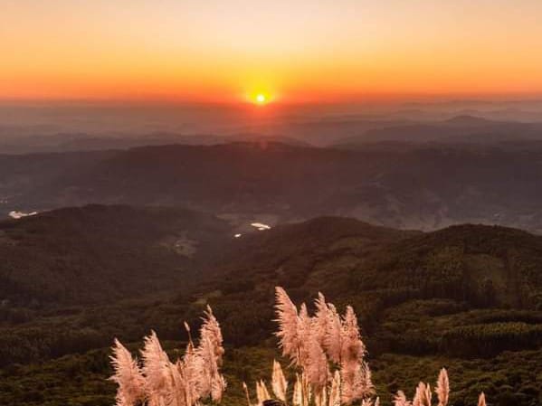 Imagem de Sitio em Riozinho