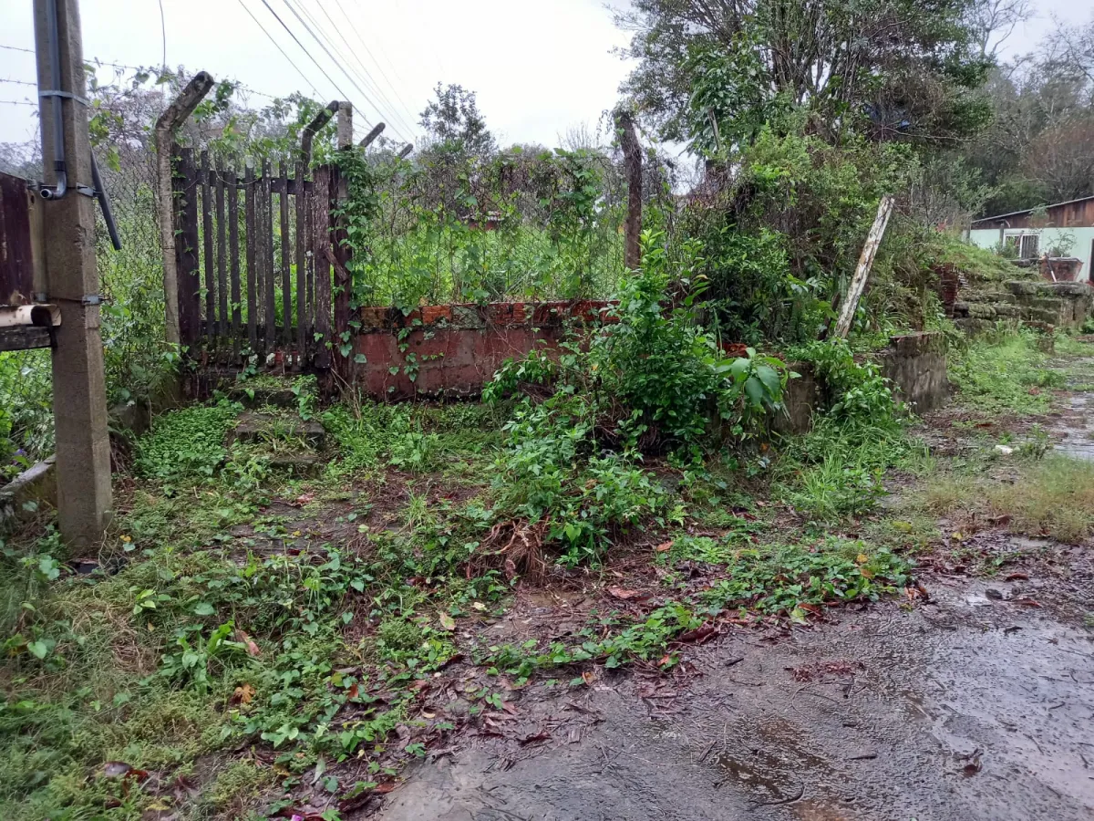 Imagem de Área de terra divisa Taquara com Gravataí, as margens da ERS 020