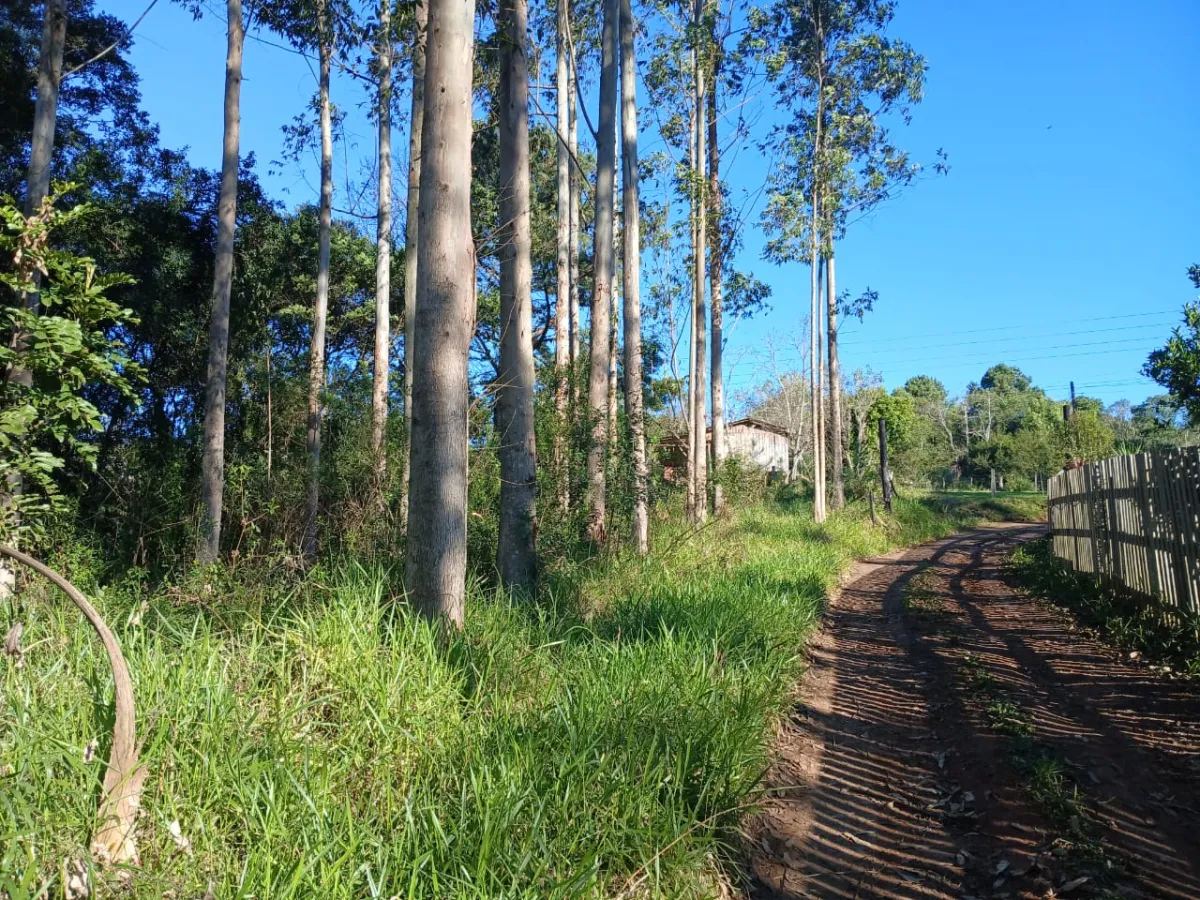 Imagem de Terreno em Taquara