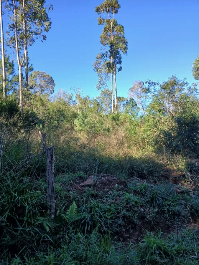 Imagem de Terreno em Taquara