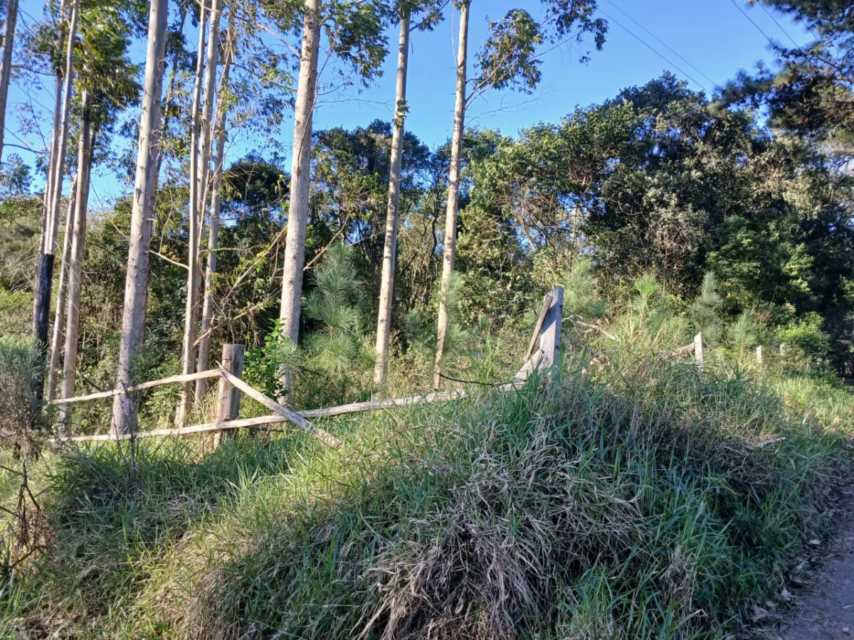 Imagem de Terreno em Taquara