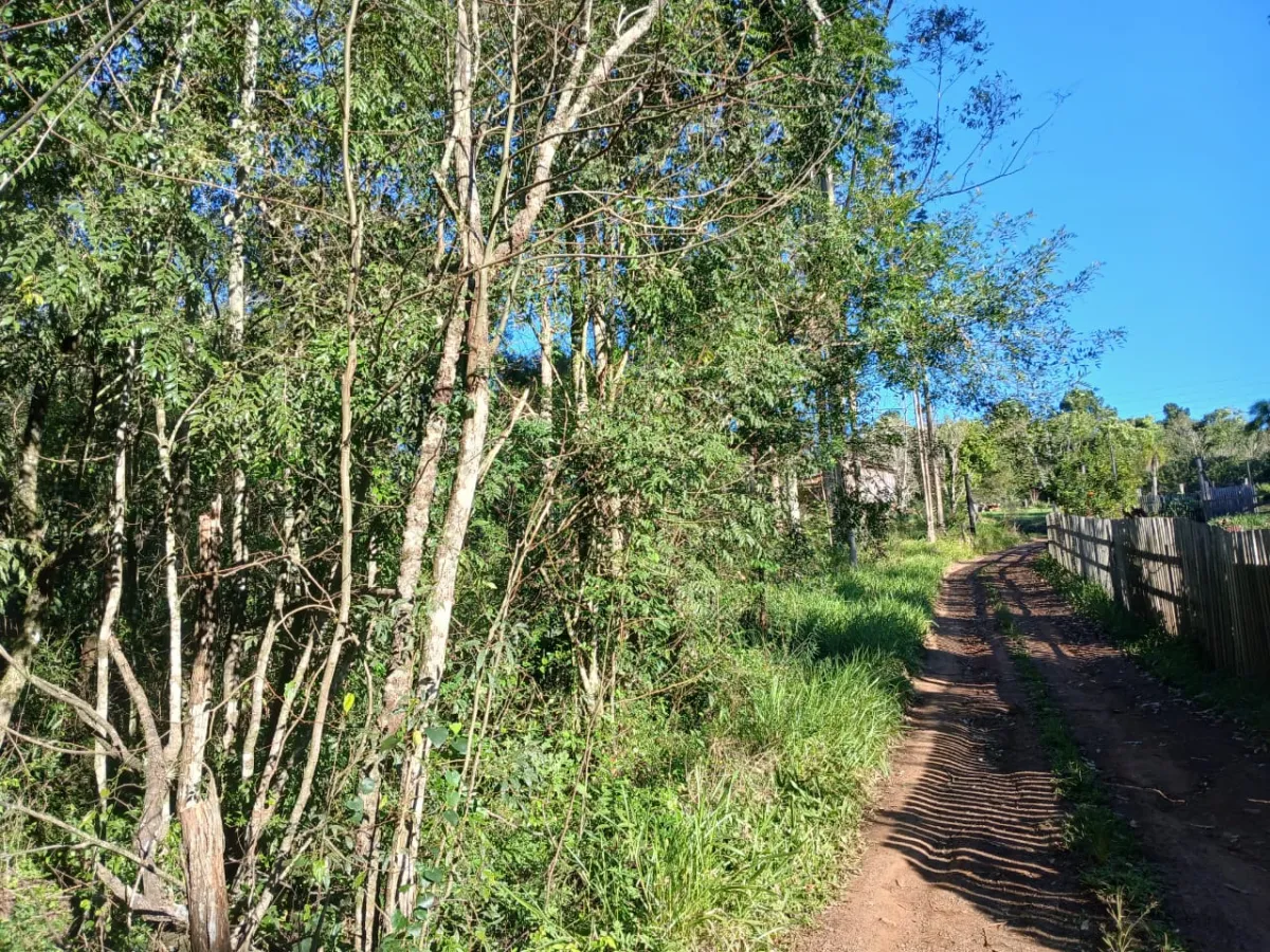 Imagem de Terreno em Taquara