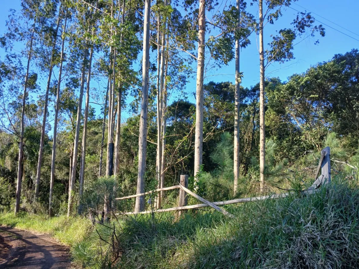 Imagem de Terreno em Taquara