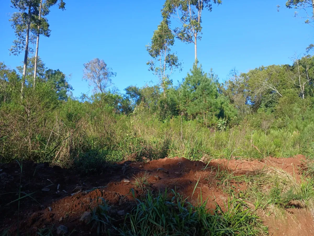 Imagem de Terreno em Taquara