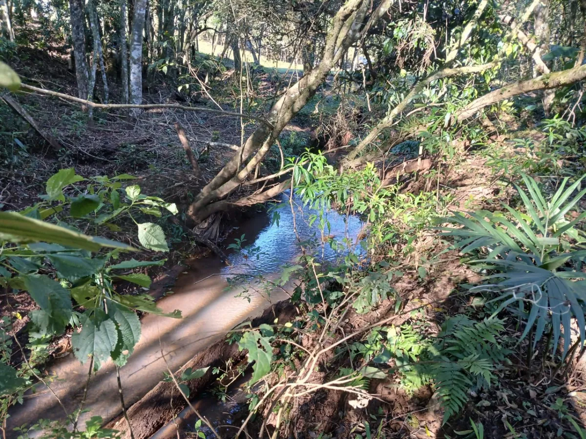 Imagem de Terreno em Taquara