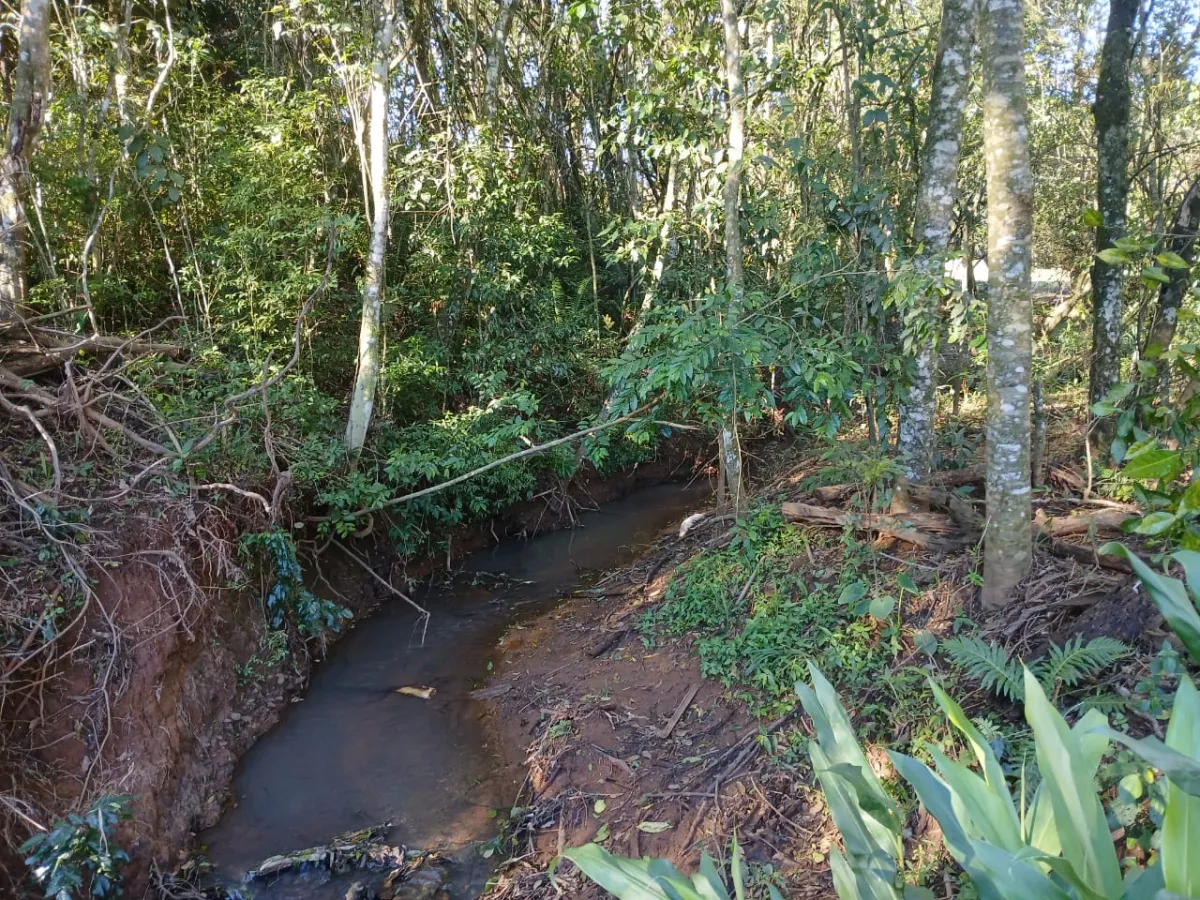 Imagem de Terreno em Taquara