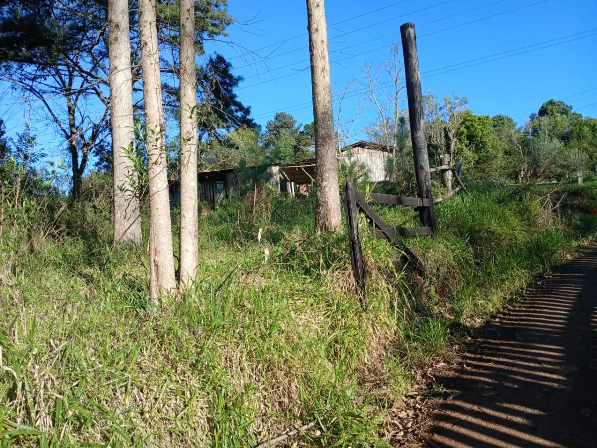 Imagem de Terreno em Taquara