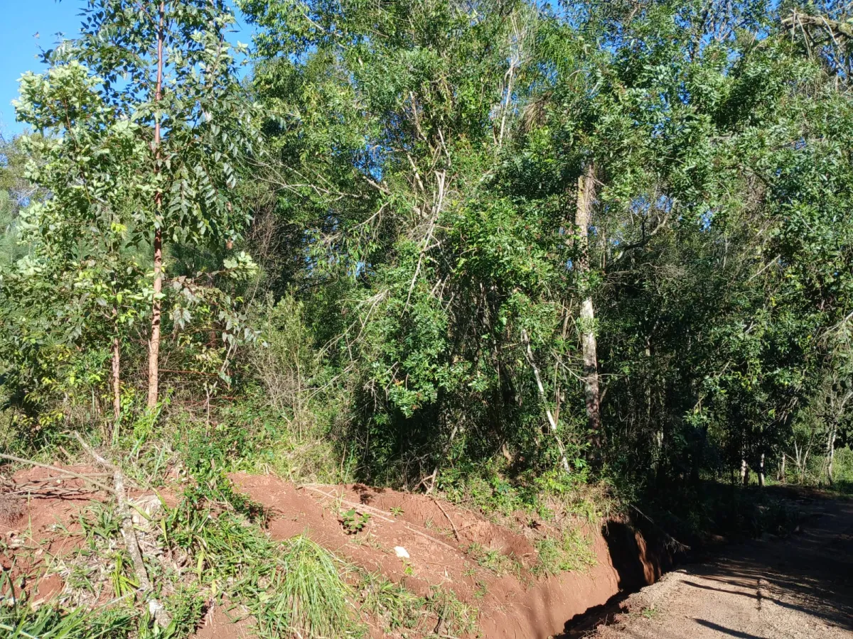 Imagem de Terreno em Taquara