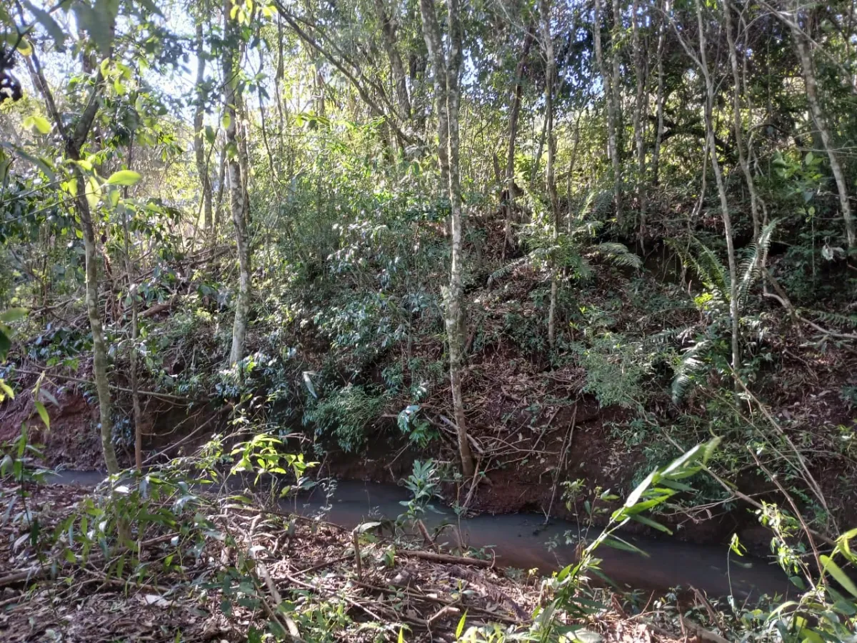 Imagem de Terreno em Taquara