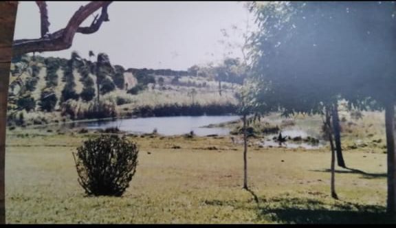 Imagem de Sítio em Taquara: Qualidade de Vida e Contato com a Natureza