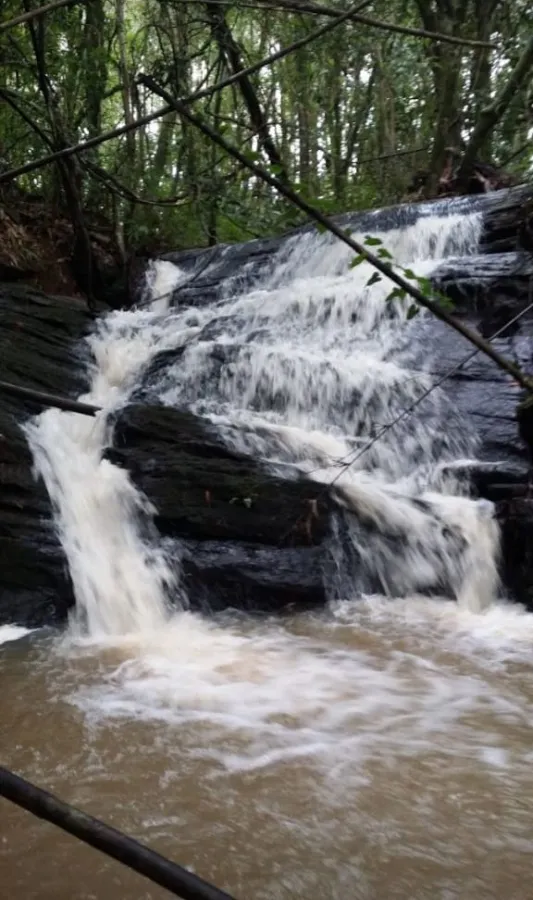 Imagem de Sítio em Taquara: Qualidade de Vida e Contato com a Natureza