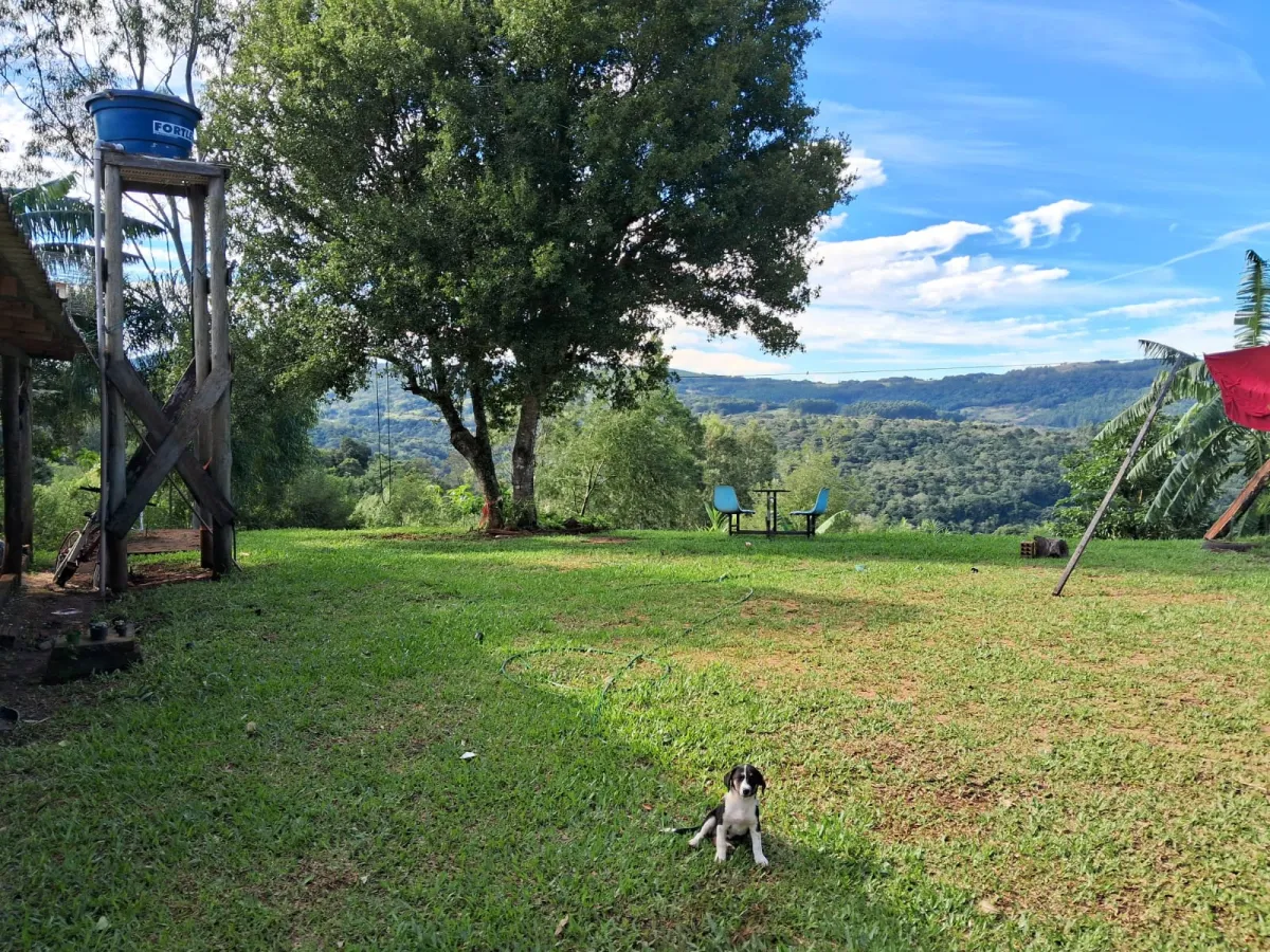 Imagem de Sítio em Taquara com Paisagens Deslumbrantes