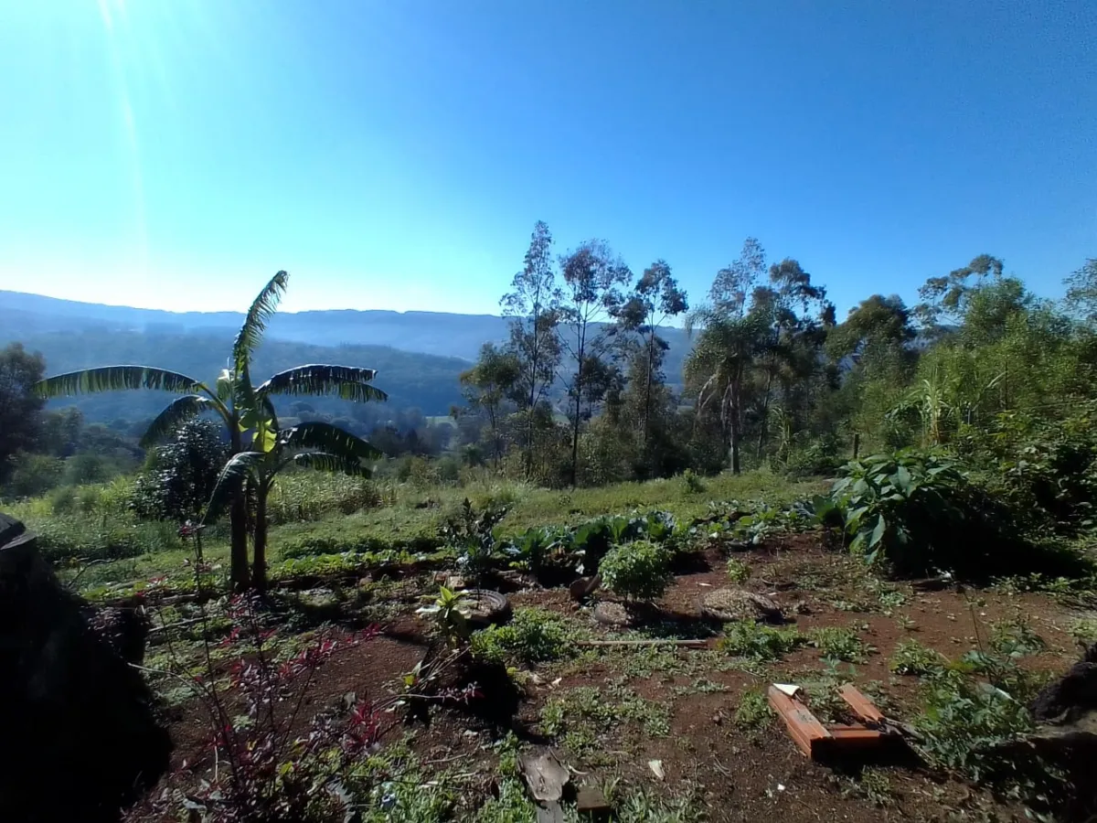 Imagem de Sítio em Taquara com Paisagens Deslumbrantes