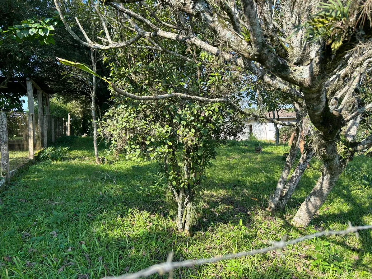 Imagem de Terreno Amplo e Bem Localizado à Venda