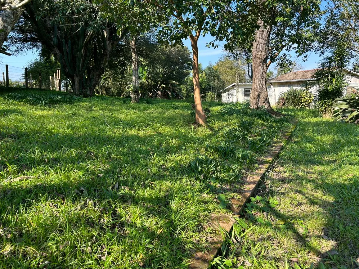 Imagem de Terreno Amplo e Bem Localizado à Venda