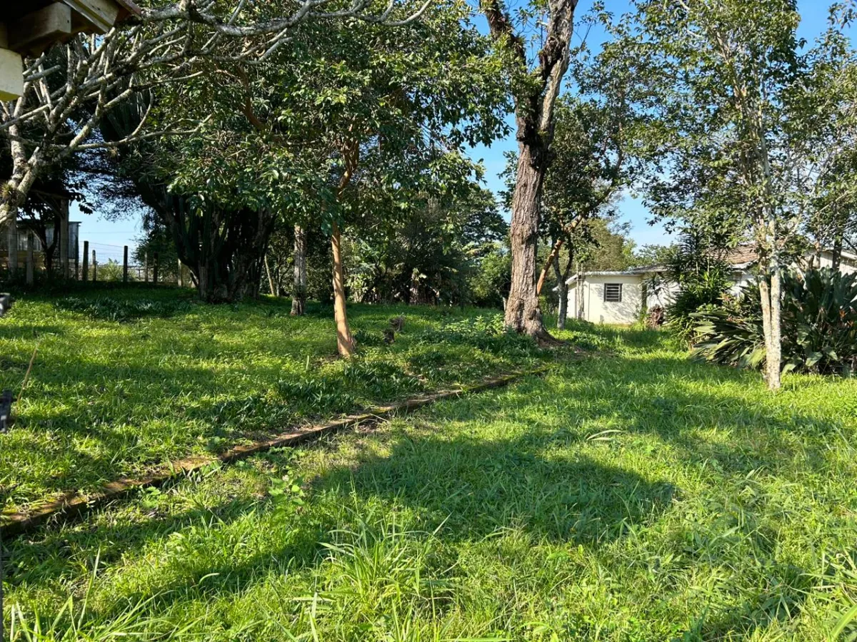 Imagem de Terreno Amplo e Bem Localizado à Venda