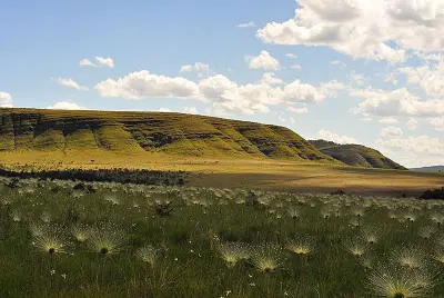 Imagem de LINDA TERRA NO VALE VERDE À 16KM DA CIDADE