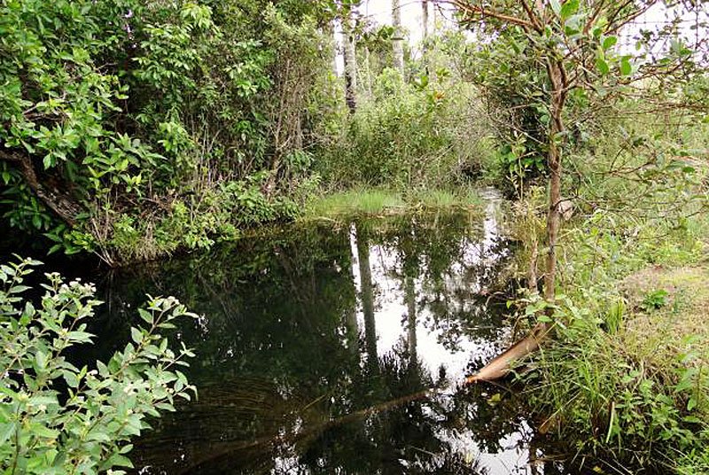 Imagem de LINDA TERRA NO VALE VERDE À 16KM DA CIDADE