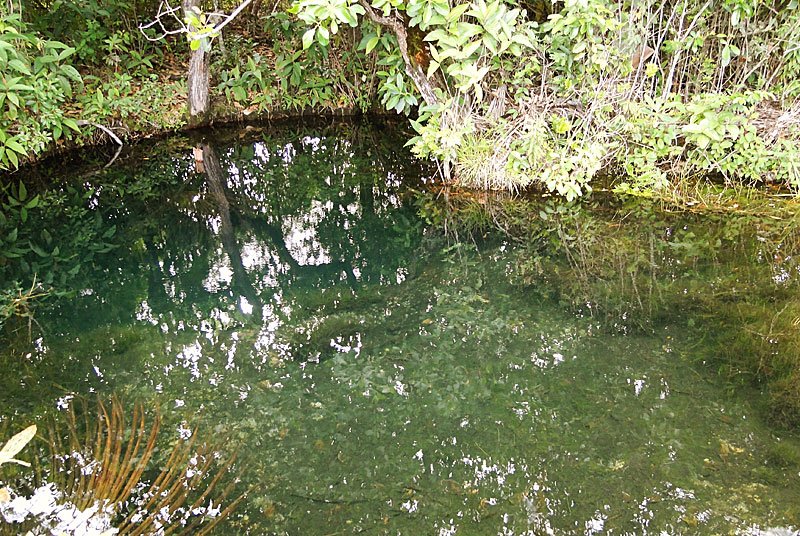 Imagem de LINDA TERRA NO VALE VERDE À 16KM DA CIDADE