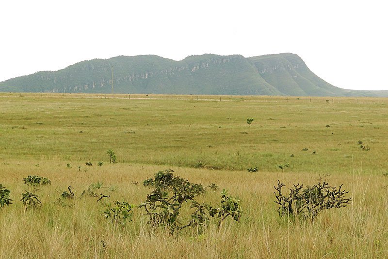 Imagem de LINDA TERRA NO VALE VERDE À 16KM DA CIDADE