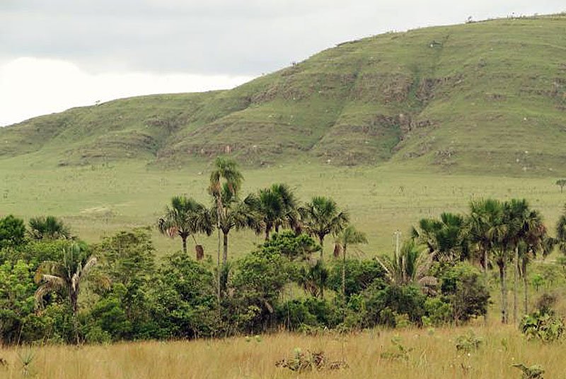 Imagem de LINDA TERRA NO VALE VERDE À 16KM DA CIDADE