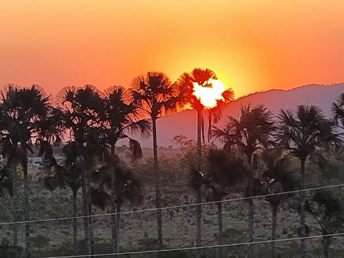 Imagem de TERRA DE 4 HECTARES NO VALE VERDE